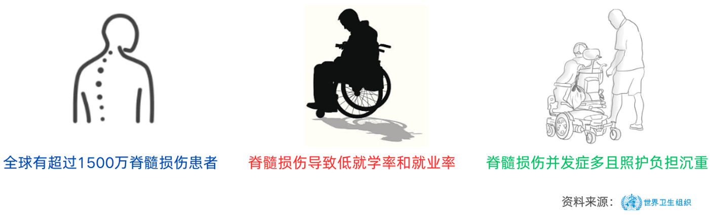 脊髓损伤相关数据图
