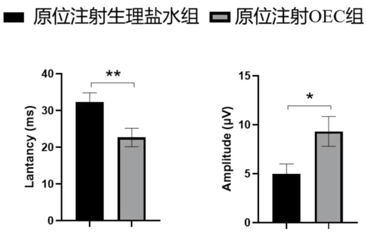 两组MEP潜伏期与波幅统计图,保留原图显著性标记